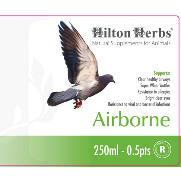 Airbone - Supports Respiratory Health in Pigeons - front label